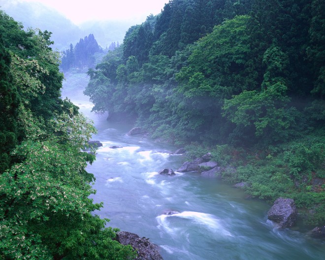 Mist at Tone River